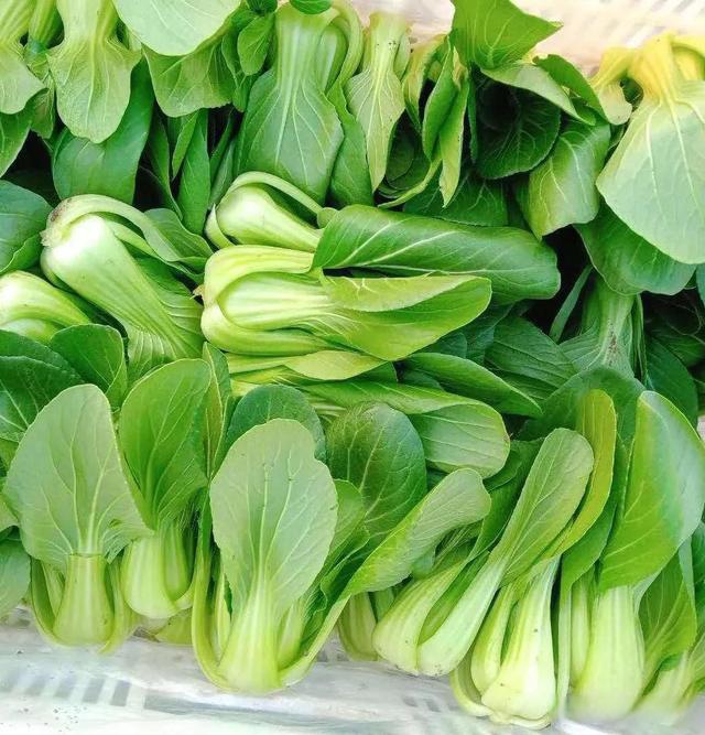 以上海命名的蔬菜——上海青,也叫瓢儿白,油白菜,青菜