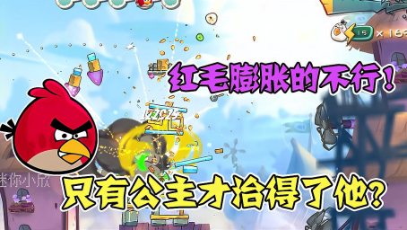 赵路 刘北辰 孟祥龙 桂楠 愤怒的小鸟配音 很经典 好看视频 赵路 刘北辰 孟祥龙 桂楠 愤怒的小鸟配音 很经典 好看视频