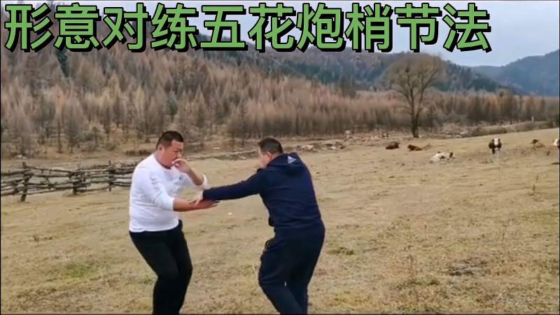 形意拳五花炮梢节法对练