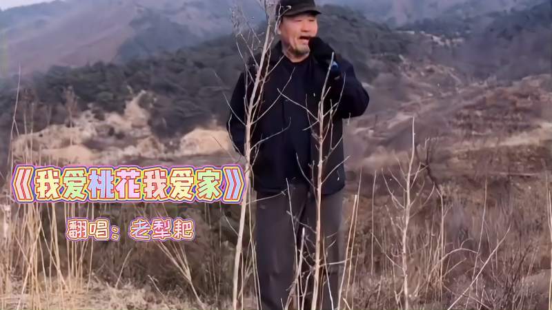 我爱桃花我爱家当我想家的时候我就想起了桃花