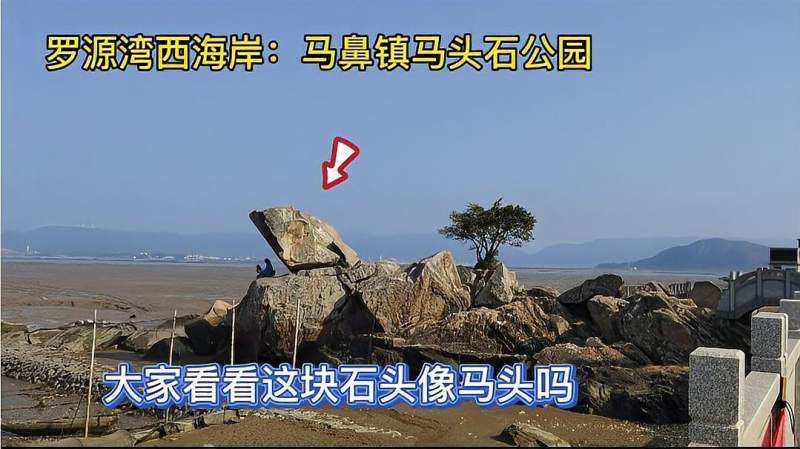 罗源湾西海岸连江马鼻镇马头石公园一起看看这块石头像马头吗