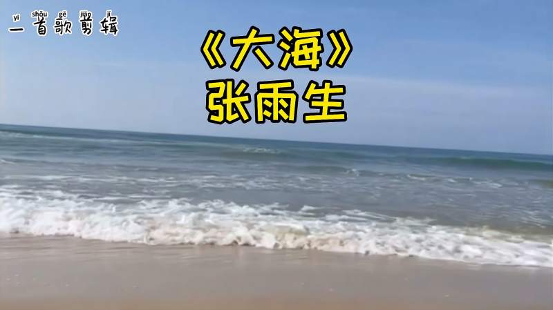 张雨生经典歌曲大海怀旧如果大海能够唤回曾经的爱