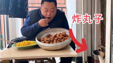 胖龙的小生活