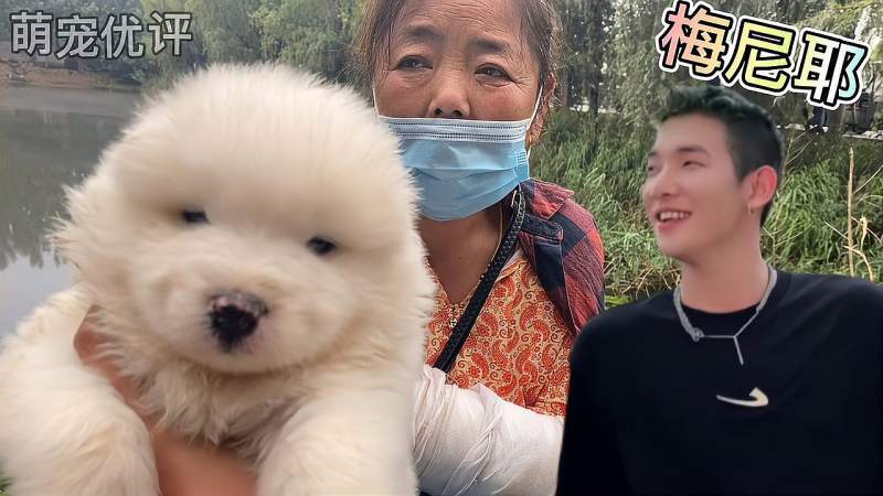 全网寻找梅尼耶这小家伙太可爱了
