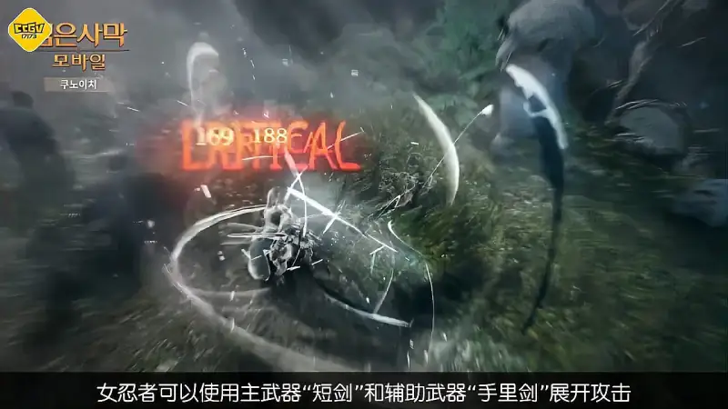 黑色沙漠mobile 公开新职业 女忍者 的战斗视频 游戏 Rpg游戏 好看视频