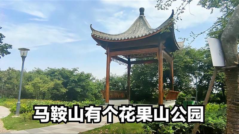 马鞍山有个花果山公园公园的夏天宁静又美丽