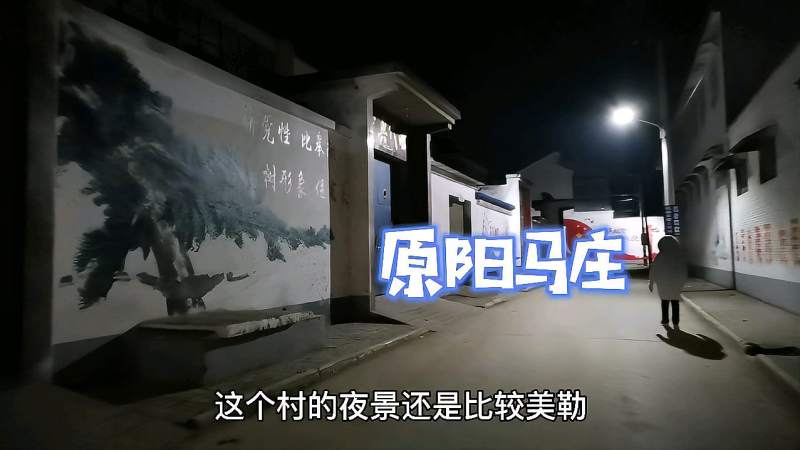 河南原阳马庄村这个村的夜景真是美这样的农村你喜欢吗