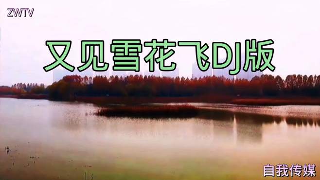 [图]又一首唱红网络的歌曲，《又见雪花飞DJ版》KTV完整版