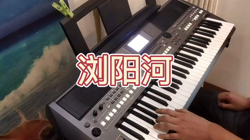 电子琴演奏经典歌曲浏阳河dj版