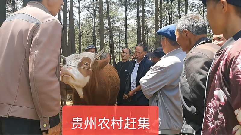 实拍贵州农村人赶集,现场人山人海很热闹,感觉回到了90年代,三农,农民