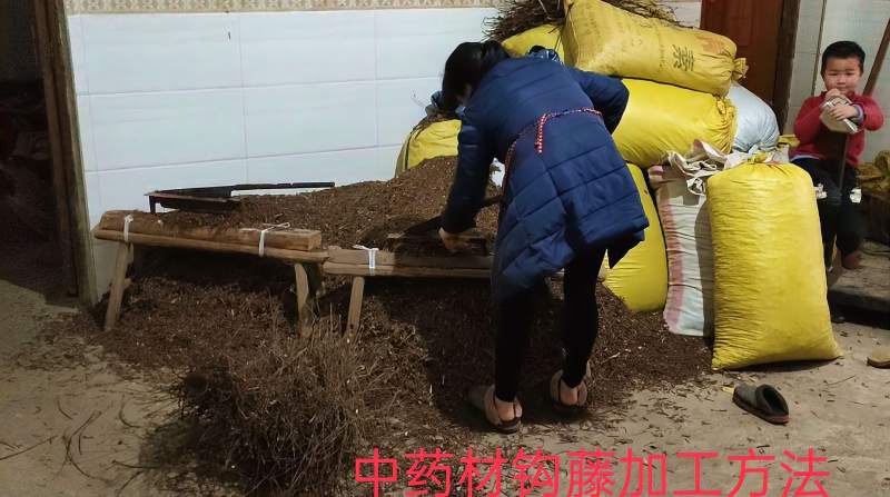 中药材钩藤枝条,怎样加工才能提高经济价值,看看专业人员怎么讲,三农,农技农策,好看视频
