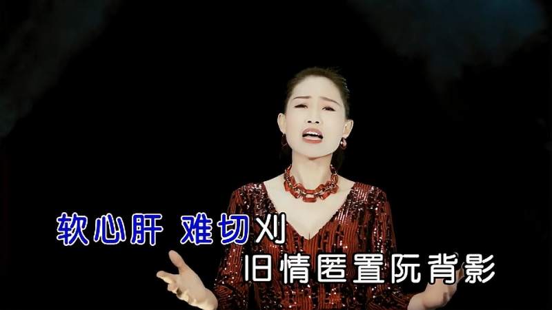 张雪芳情海这条路高清ktv版