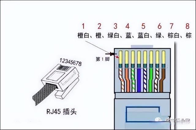 网线面板接法图解图片