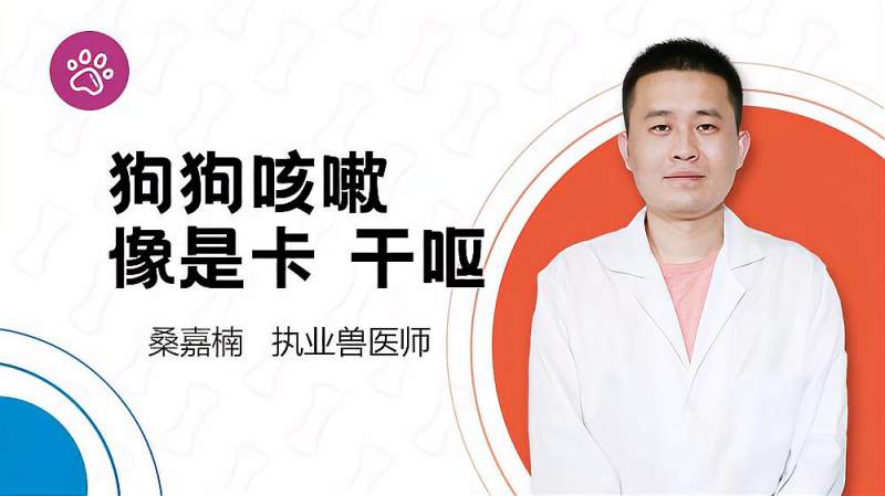 狗狗咳嗽像是干呕怎么回事?,健康养生,健康常识,好看视频