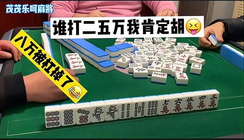 还想看一条龙呢结果八万都被杠没了只能老实的胡二五万了