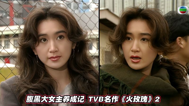 海潮复仇黑化女主传奇港剧90年代火玫瑰温碧霞代表作