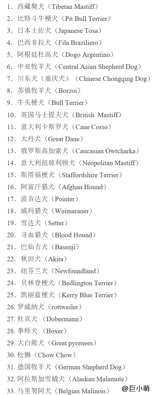 小型烈性犬名单图片