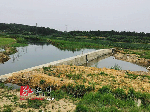 道县华岩村:完善基础设施发展产业 全力巩固脱贫成效