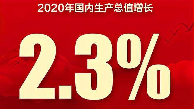 [图]果然视频·两会｜2020年全年国内生产总值增长2.3%