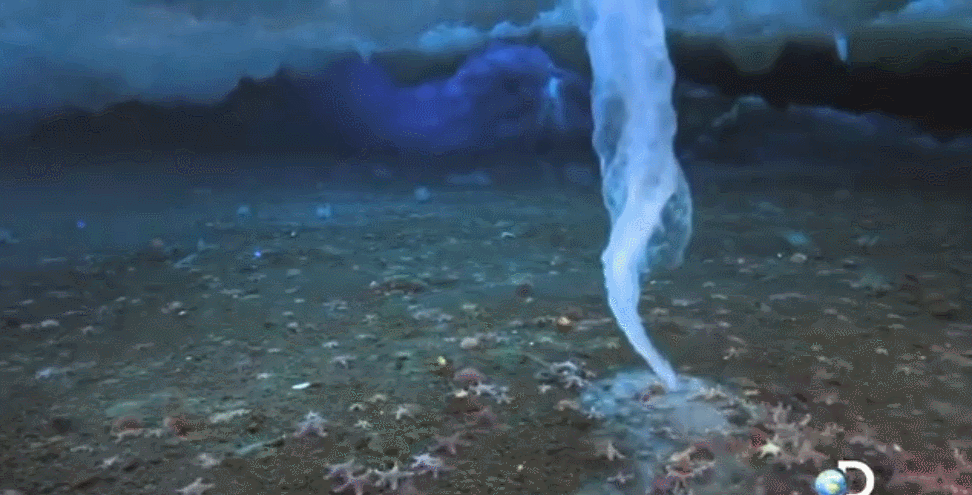海底死亡冰柱