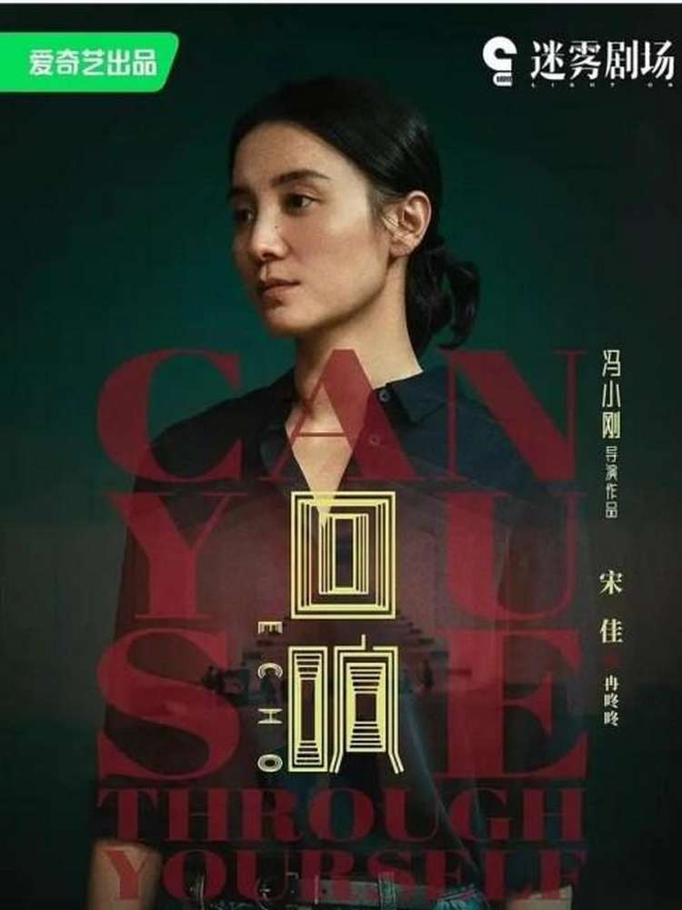 冯小刚执导悬疑破案剧《回响》宋佳王阳合作演夫妻,影视,悬疑,好看视频