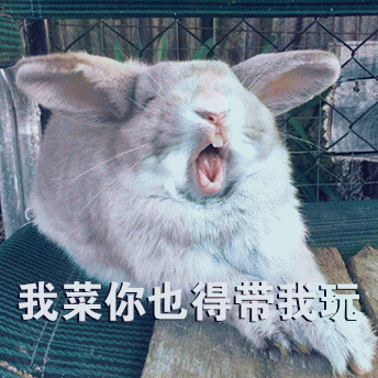 烤兔子表情包图片