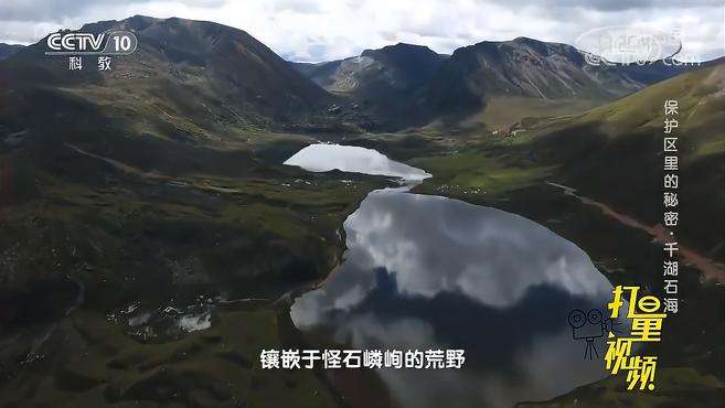 [图]青藏高原面积广大的高寒湿地！荒凉与生机并存｜地理·中国