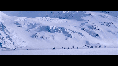 雪地犬遇到雪崩的电影图片