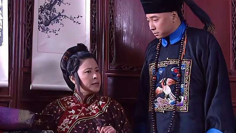 李卫当官李卫荣耀归家可把李母给高兴坏了竟说不让他当臬台