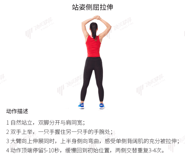 女生背部肌肉锻炼方法图片