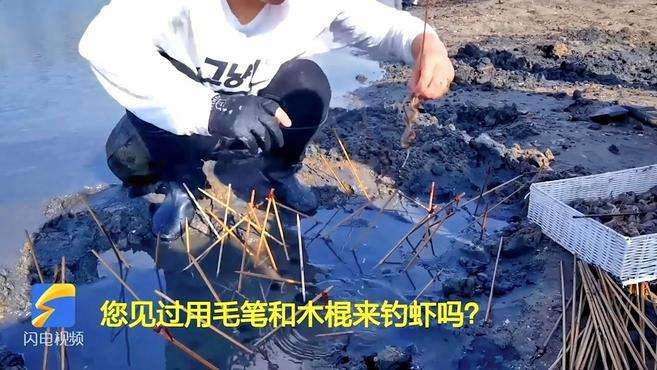 毛筆加木棍解鎖釣蝦新玩法！夏末秋初來煙臺趕海吧