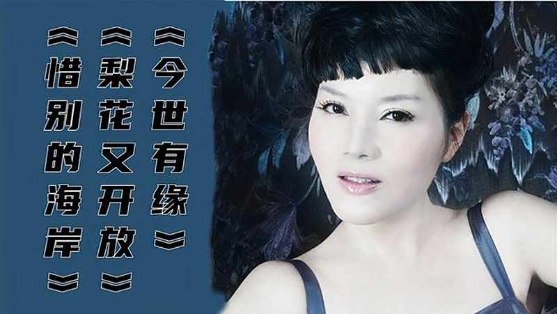 惜别的海岸 梨花又开放 今世有缘 男人听醉了女人听哭了 好看视频 惜别的海岸 梨花又开放 今世有缘 男人听醉了女人听哭了 好看视频