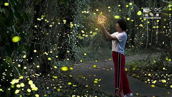 [图]领略生物多样性之美｜与萤火虫共舞夏日的圆舞曲