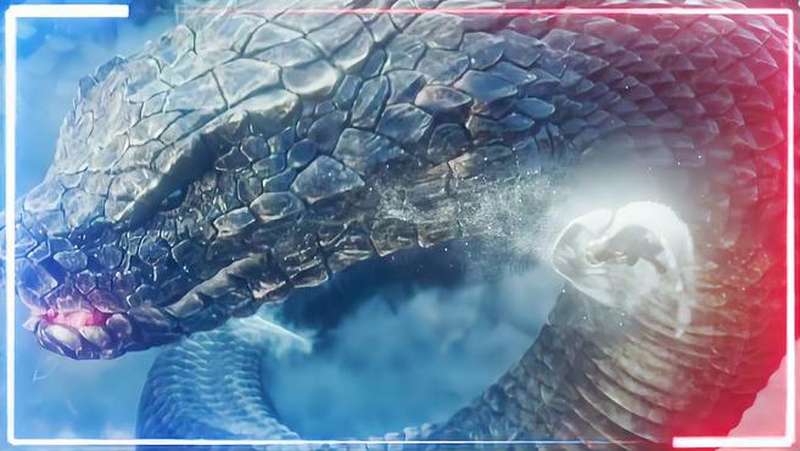 国内顶级特效祸蛇