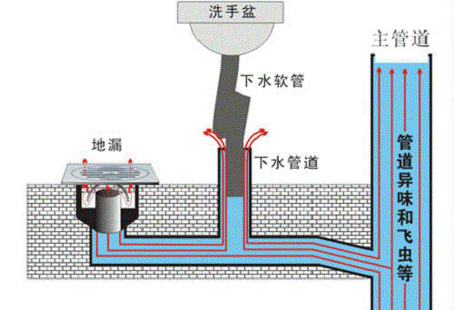 卫生间下水道结构图图片