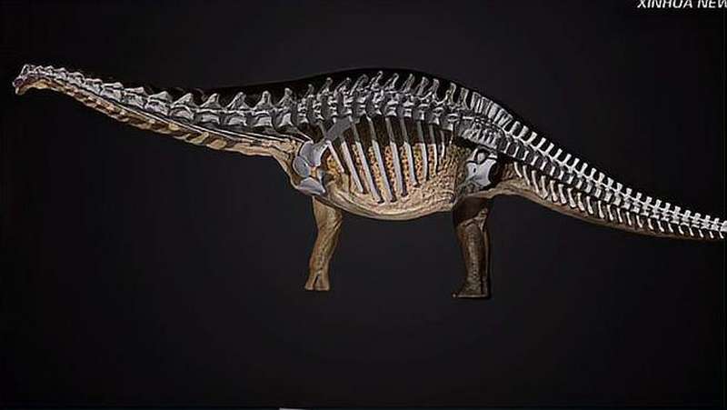 澳大利亚发现巨型蜥脚类恐龙新物种