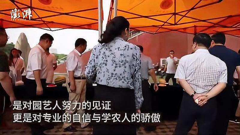 陕西一高校准备万斤水果送毕业生：都是自己种的 社会 民生 好看视频