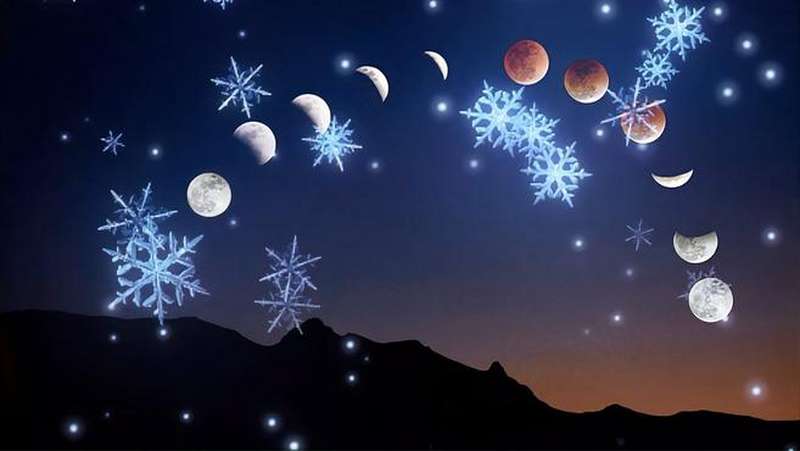 儿童乐园：自然界中的规律性,母婴育儿,早期教育,好看视频