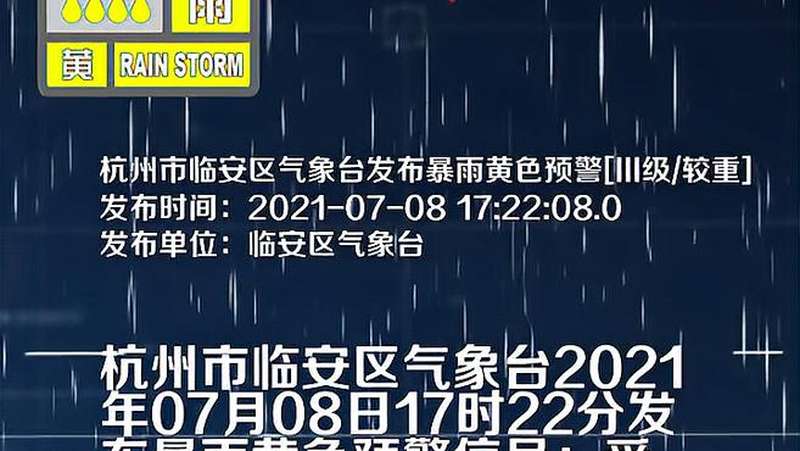 杭州市临安区气象台发布暴雨黄色预警「III级/较重」