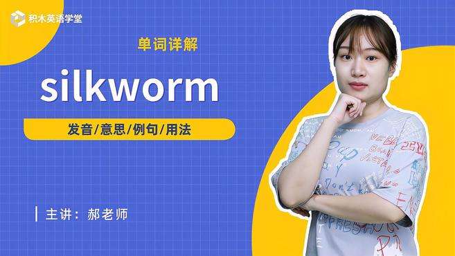 [图]silkworm-单词讲解（发音 意思 例句 用法 短语）