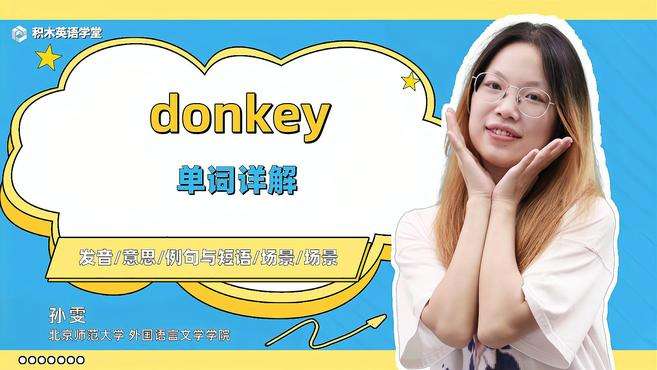 [图]donkey-单词讲解（发音 意思 例句与短语 场景）