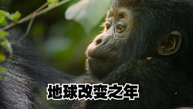 2020年地球上发生过什么,网友:我们多余了!《地球改变之年》
