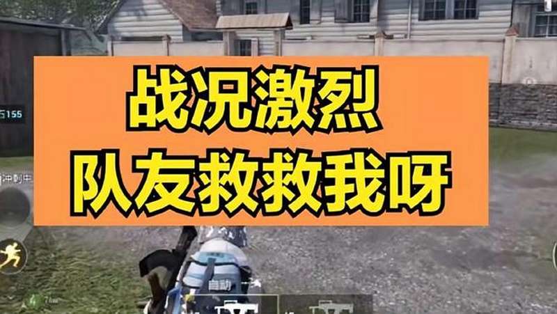 和平精英战况激烈队友救救我呀