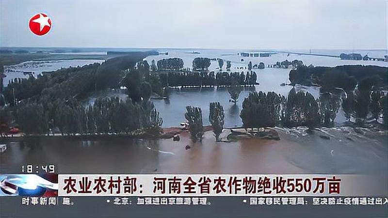 农业农村部:河南全省农作物绝收550万亩,时事,事故灾难,好看视频
