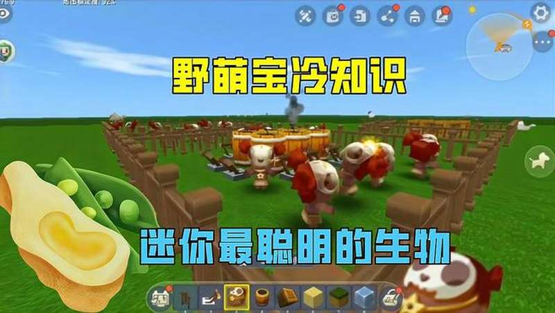 迷你世界野萌宝的冷知识迷你世界最聪明的生物还有谁能相比