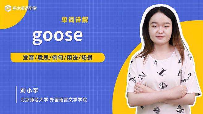 [图]goose-单词讲解（发音 意思 例句 用法）