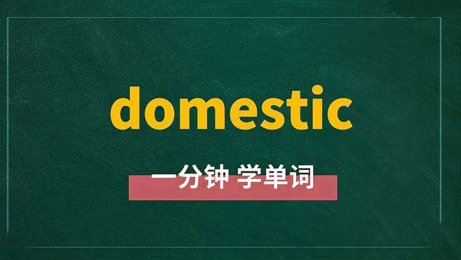 [图]一分钟学英语domestic单词详解