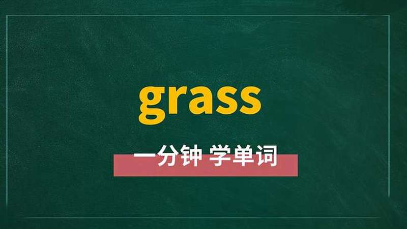 一分钟学英语grass单词详解,教育,在线教育,好看视频