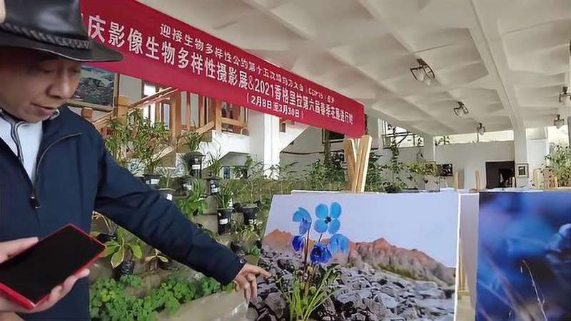 cop15:让我们跟随植物学家方震东探寻迪庆生物多样性