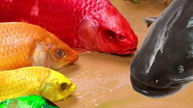 书适优阅学英语 好看视频